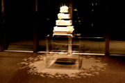 pinspot ex Wedding Reception DJ/Emcee Package