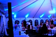  Elegant Color Wash Uplighting