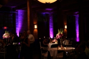  Elegant Color Wash Uplighting
