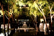  Elegant Color Wash Uplighting