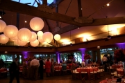  Elegant Color Wash Uplighting