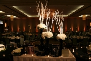  Elegant Color Wash Uplighting